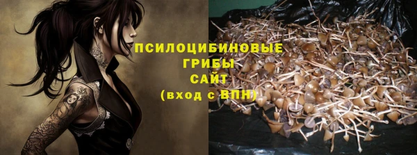 сатива Алзамай