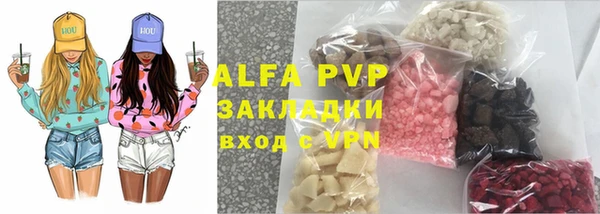 сатива Алзамай