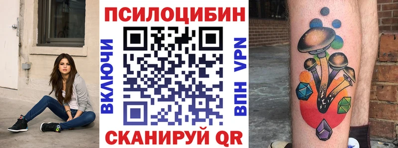Псилоцибиновые грибы Cubensis  дарнет шоп  Якутск 