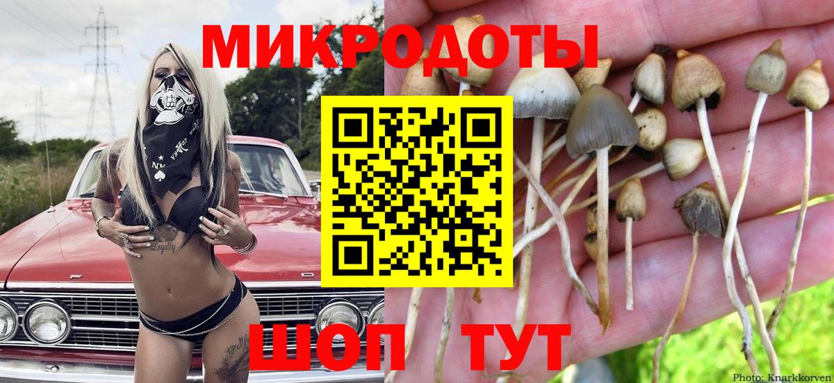 Галлюциногенные грибы Magic Shrooms Якутск