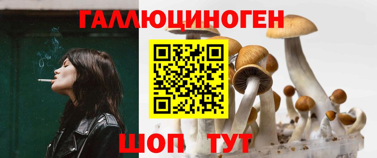 Якутск  Псилоцибиновые грибы Psilocybine cubensis  Вход с VPN 
